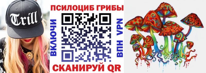 Галлюциногенные грибы Psilocybine cubensis  кракен вход  Закаменск 